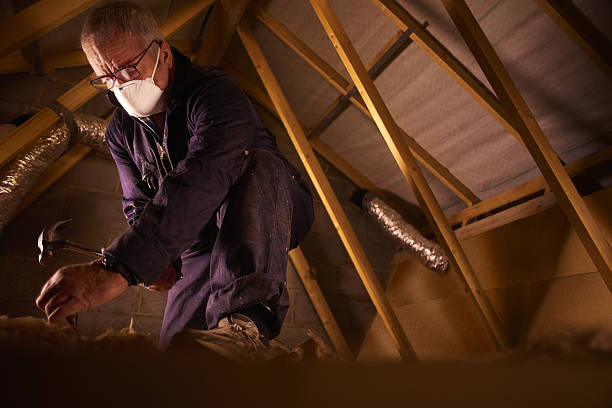 Best Insulation Installation Services in Shandon, CA